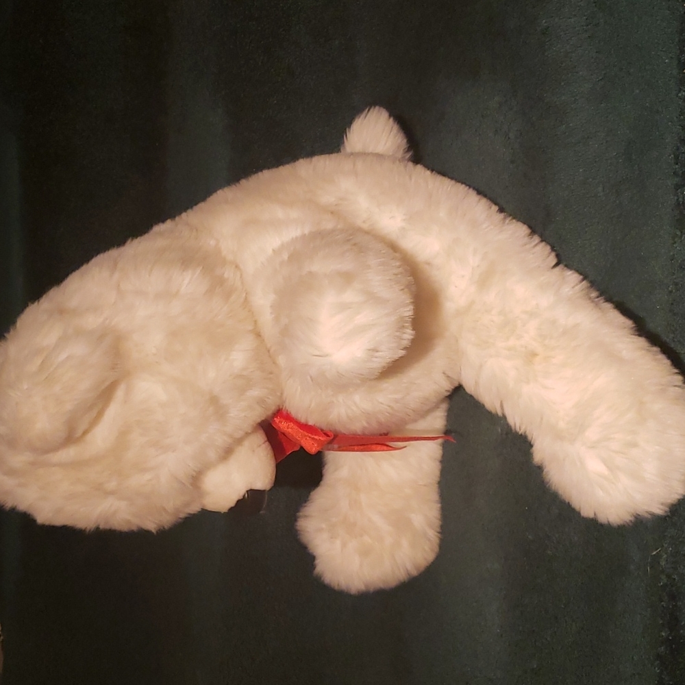 Bear - Picture 5 of 15